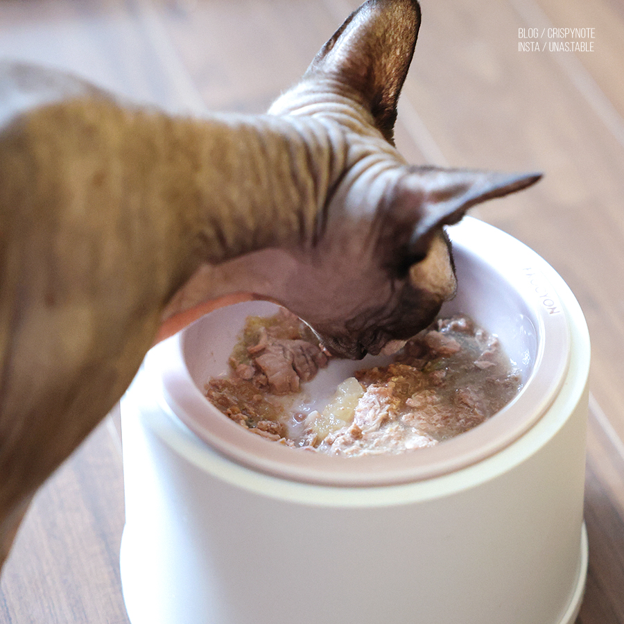 고양이주식캔 고르는 기준 캣츠파인푸드 고양이습식사료 기호성 좋은 고양이캔