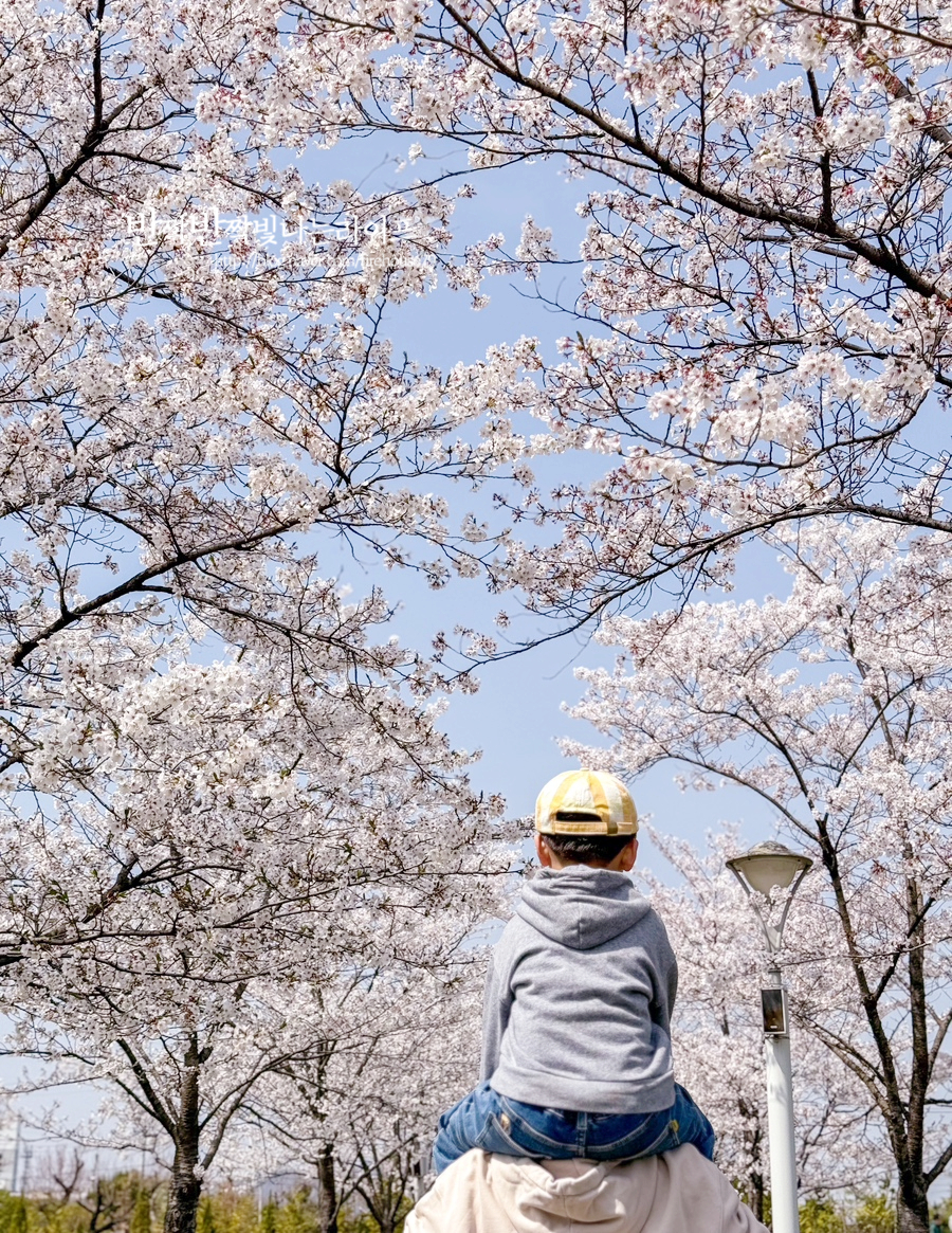 상주 아이와 가볼만한곳 경북 상주 카페 파머스 그라운드