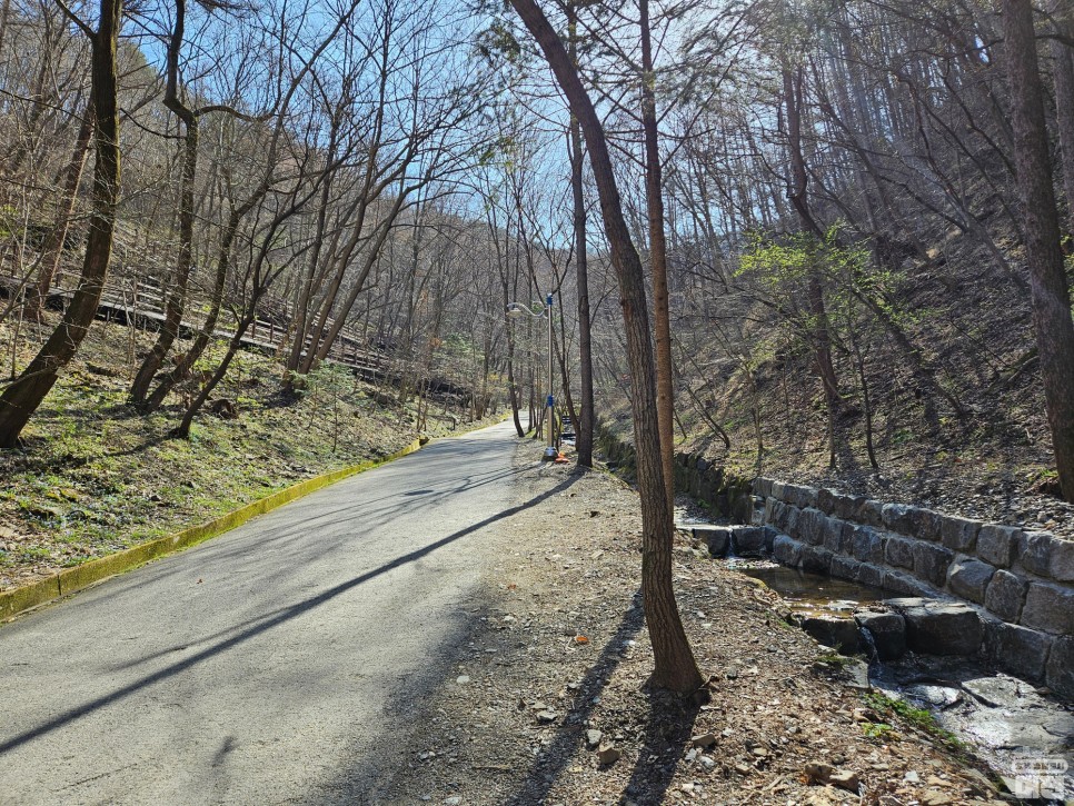 대전 봄나들이 가기 좋은 곳, 만인산자연휴양림
