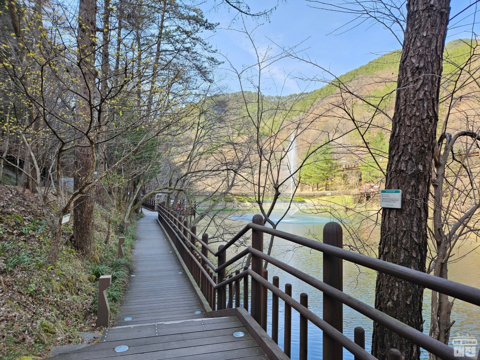 대전 봄나들이 가기 좋은 곳, 만인산자연휴양림