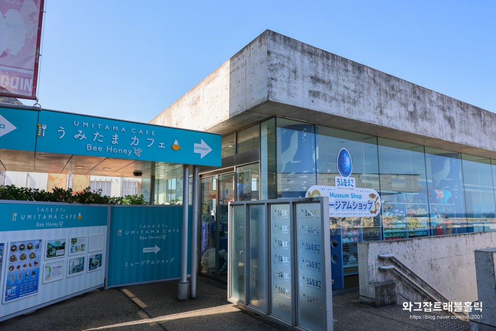 일본 벳부 여행 오이타 가볼만한 곳 우미타마고 수족관 오션뷰 카페 후기