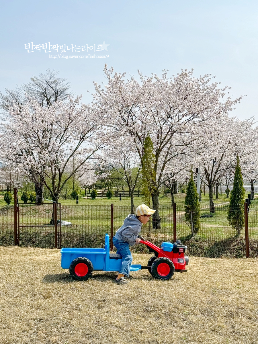 상주 아이와 가볼만한곳 경북 상주 카페 파머스 그라운드