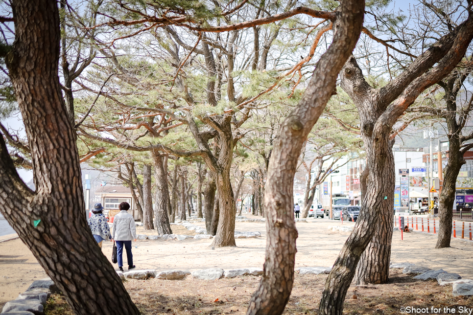 강화도 동막해변 가볼만한곳 바닷가 갯벌 체험 명소 동막해수욕장