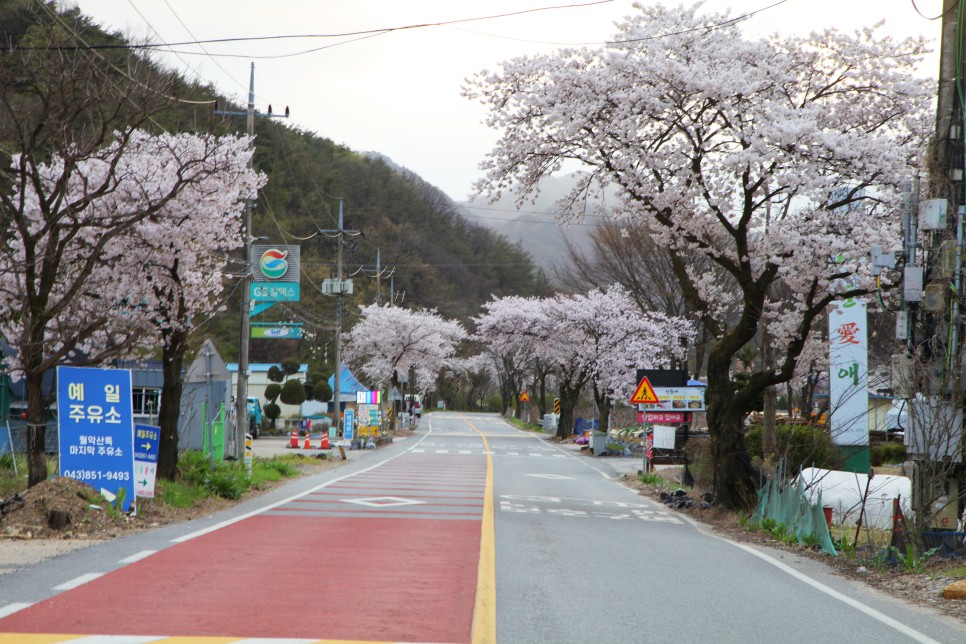 [월악산국립공원] 봄이 되면 가족과 함께 걷기 좋은 월악산 하늘재