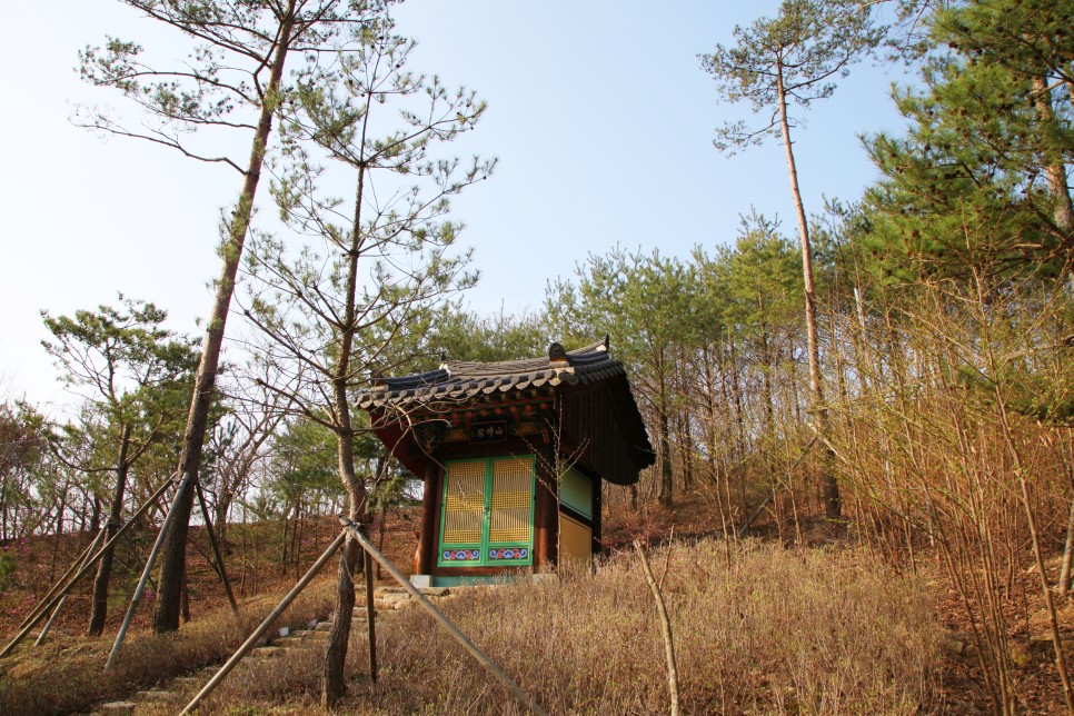 [월악산국립공원] 봄이 되면 가족과 함께 걷기 좋은 월악산 하늘재