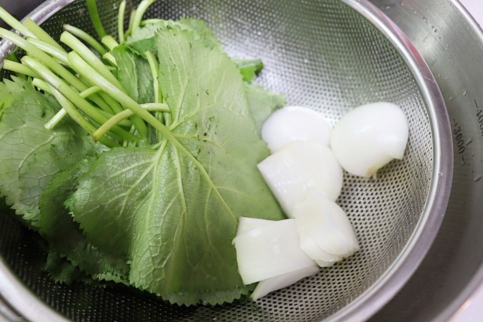 곰취장아찌 만드는법 곰취나물장아찌 간장 비율 곰취요리 봄나물 장아찌 종류