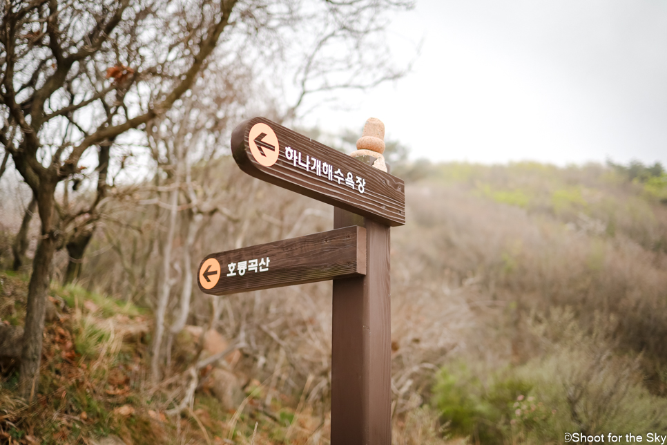 인천 무의도여행 하나개해수욕장 갯벌처험 해상관광탐방로 호룡곡산