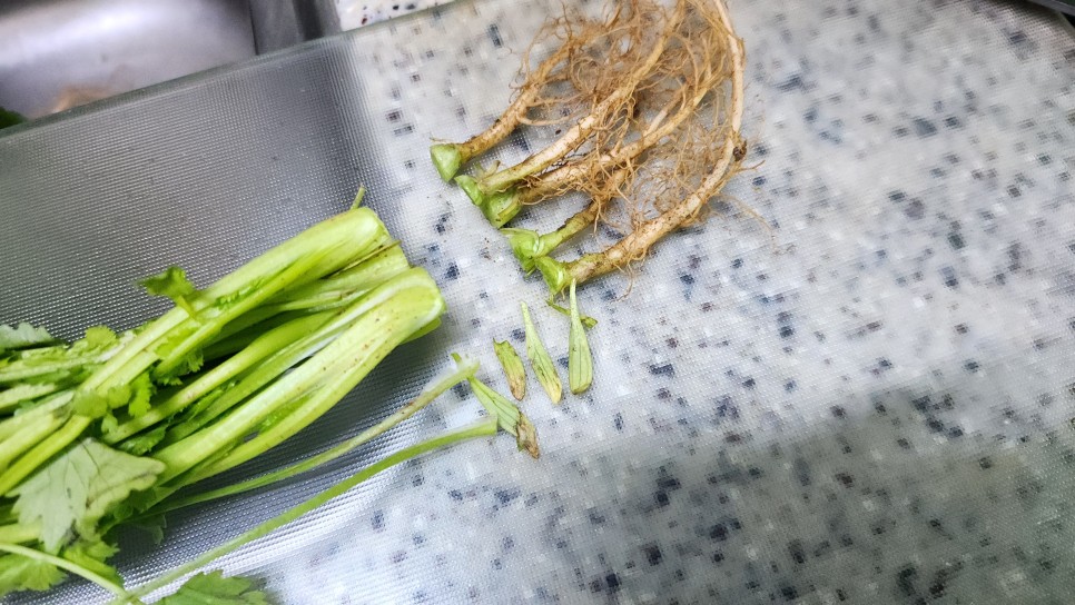 간단한 반찬 고수무침 겉절이 양념 만드는법 야채반찬 고수나물 고수요리