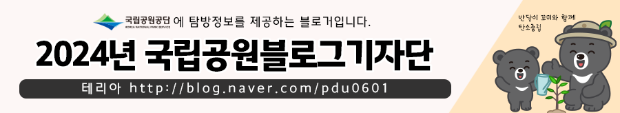 치악산국립공원 구룡야영장 '그리하여 캠핑의 계절'