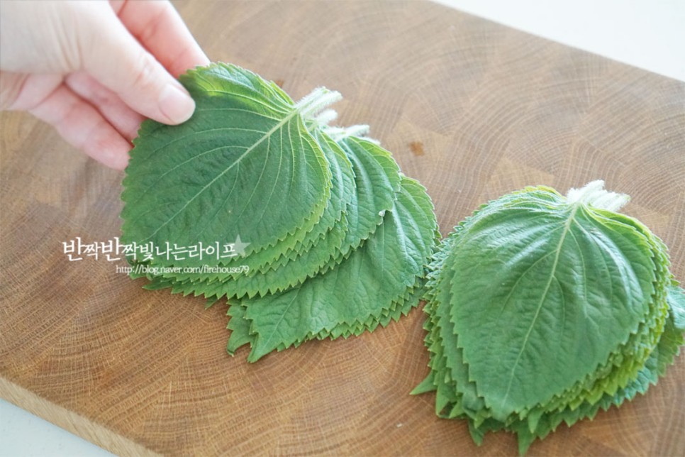 깻잎 양념장 만들기 백종원 깻잎김치 만드는 법 깻잎반찬