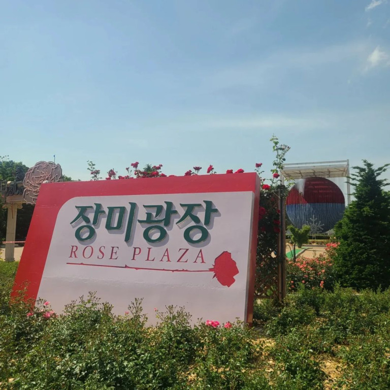 5월 장미 명소, 서울/경기 데이트 코스로 가볼 만한 장미 정원 4