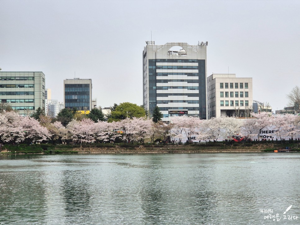서울 잠실 석촌호수 벚꽃 축제 놀거리 가볼만한곳