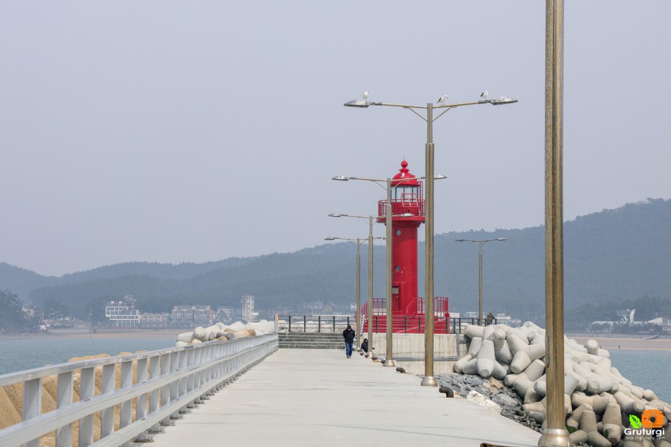 충남 태안 가볼만한곳 놀거리 태안 여행코스