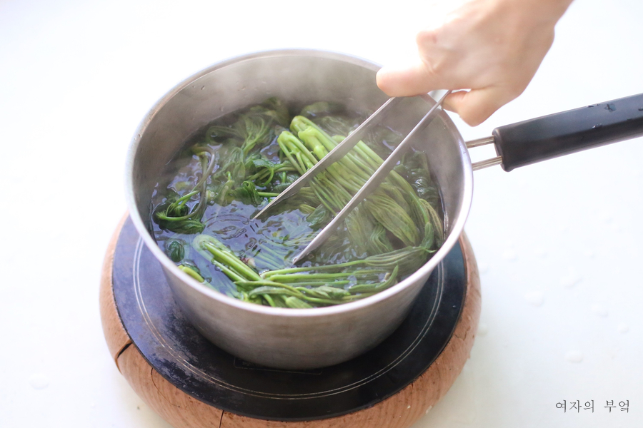 두릅장아찌만드는법 개두릅장아찌 만들기 엄나무순장아찌 담는법