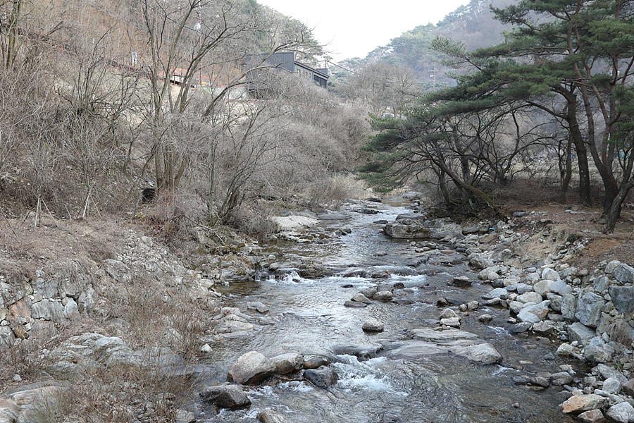 치악산국립공원 구룡야영장 '그리하여 캠핑의 계절'