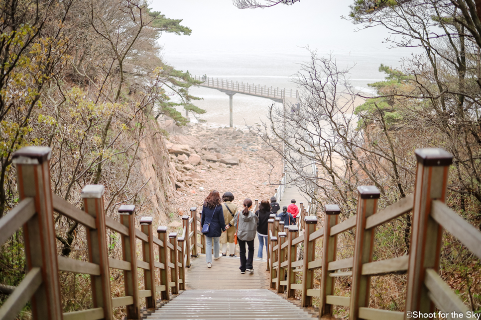 인천 무의도여행 하나개해수욕장 갯벌처험 해상관광탐방로 호룡곡산