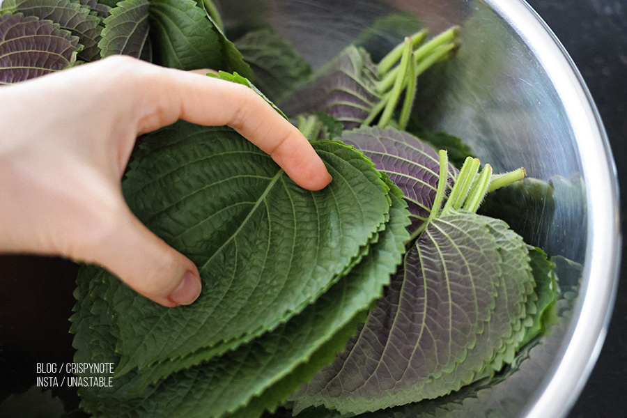 깻잎장아찌 만들기 깻잎지 레시피