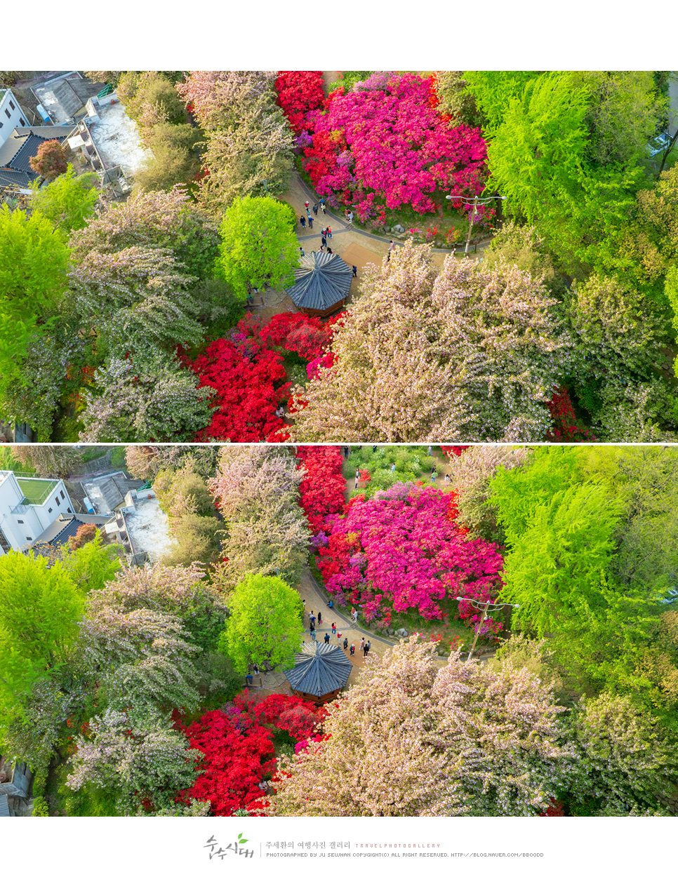 전주 나들이 완산칠봉 꽃동산 완산공원 주차 철쭉 겹벚꽃 명소