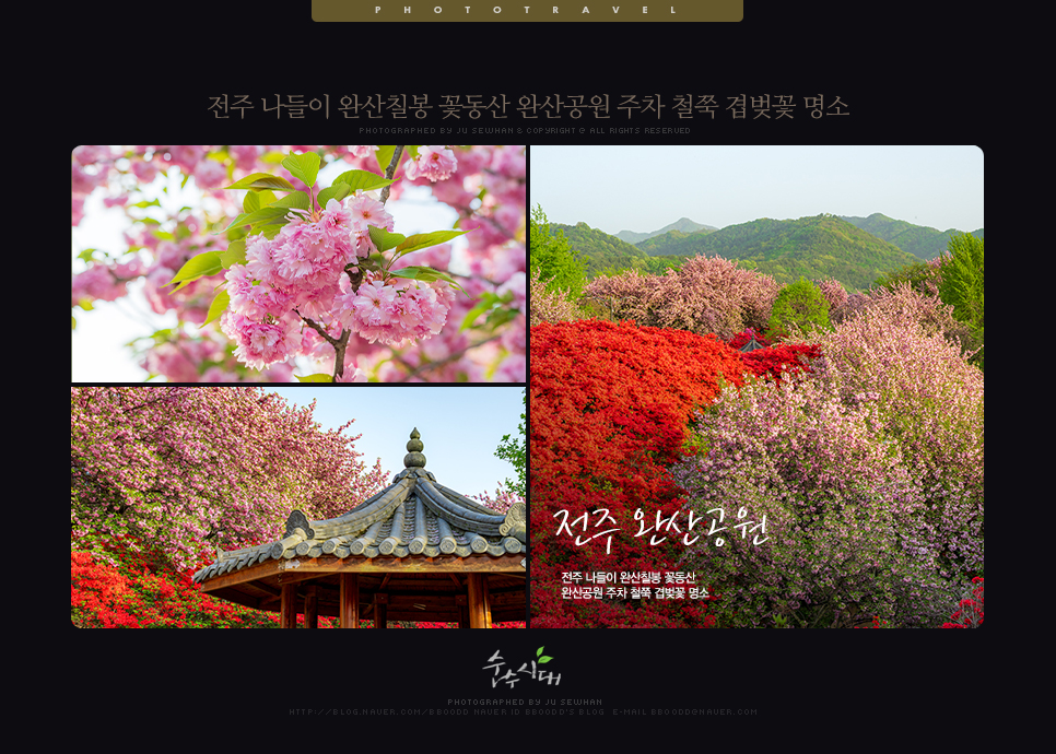 전주 나들이 완산칠봉 꽃동산 완산공원 주차 철쭉 겹벚꽃 명소