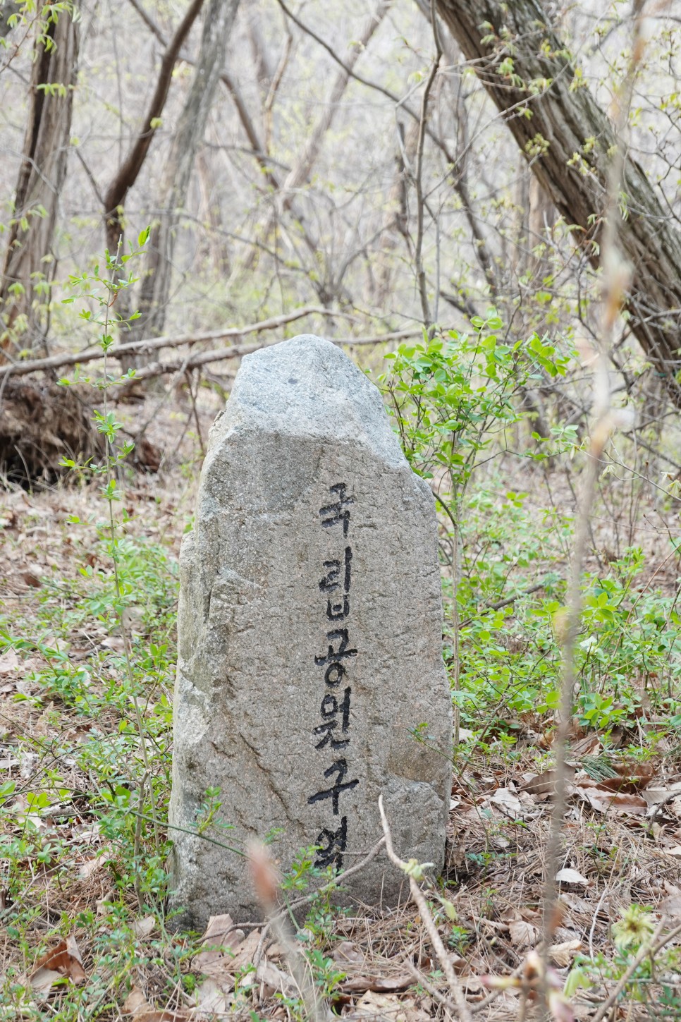 [경주국립공원 화랑지구] 벚꽃 명소 김유신 장군묘 송화산 가볍게 즐기기