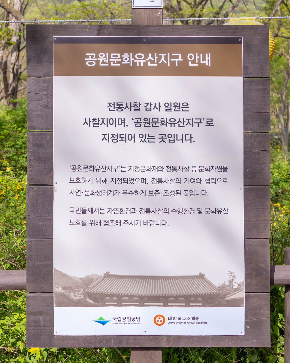 충남 여행 공주 가볼만한곳 공주 갑사 황매화 축제 계룡산국립공원