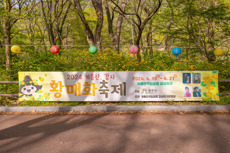 충남 여행 공주 가볼만한곳 공주 갑사 황매화 축제 계룡산국립공원