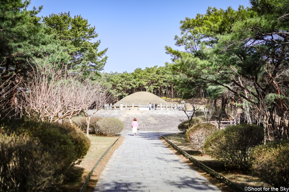 아이와 경주 산책로 유적지 추천 볼거리 명소 김유신장군묘