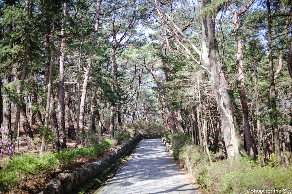 아이와 경주 산책로 유적지 추천 볼거리 명소 김유신장군묘