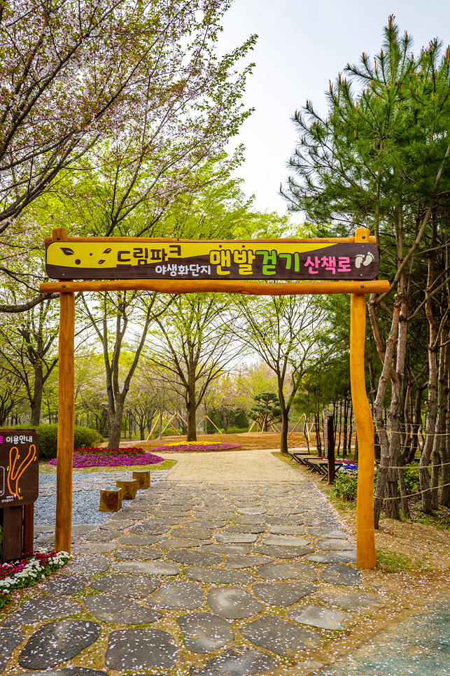 서울 근교 여행 인천 가볼만한곳 드림파크 야생화단지 공원