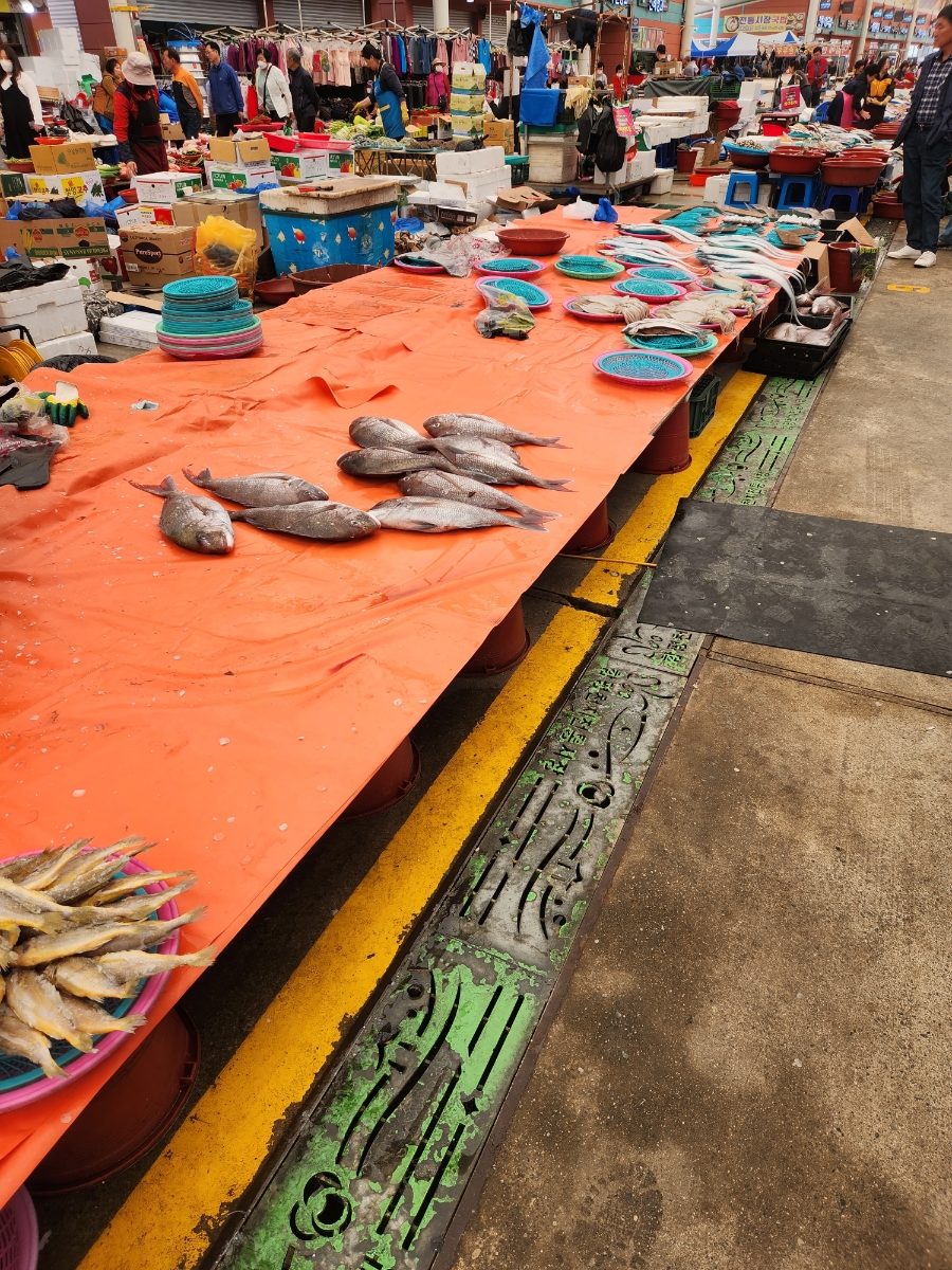 함평전통시장 장날 나비축제 근처 가볼 만한 곳