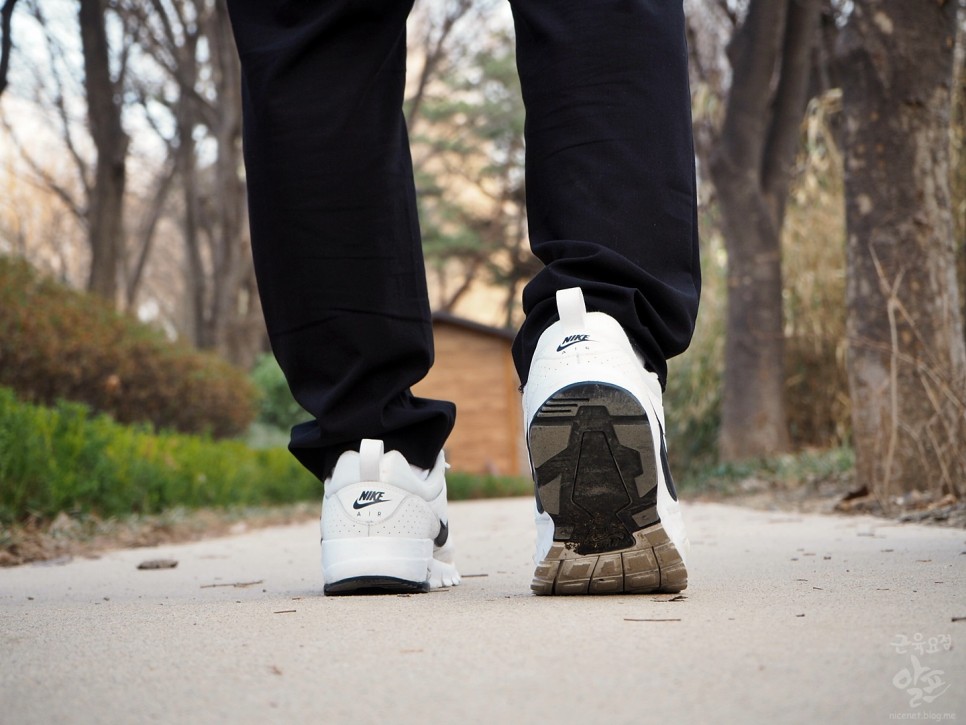 걷기 다이어트 운동할 때 단백질보충제 효과