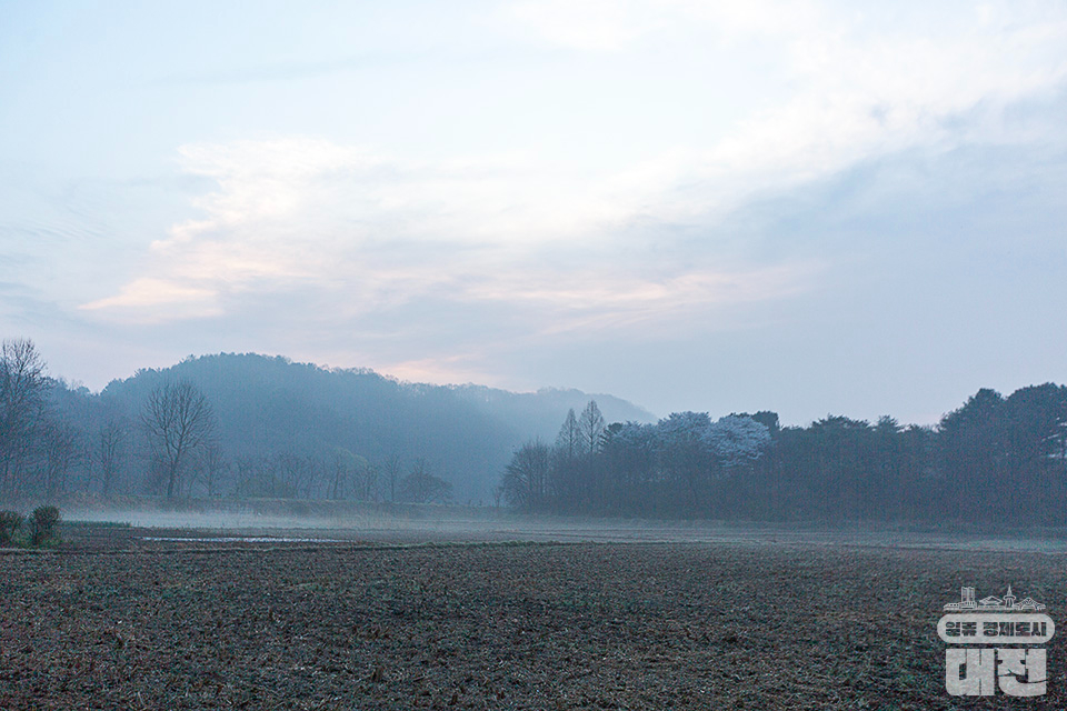 대전 스토리 새벽투어 갑천 누리길 걷기, 숲으로 떠나는 노루벌 적십자 생태원 탐방