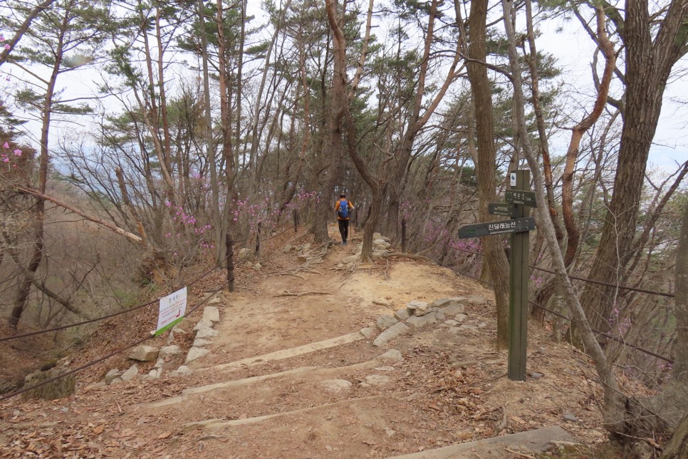 [북한산국립공원] 백운대탐방지원센터에서 백운대에 오른 후 용암문과 동장대, 대동문을 거쳐 소귀천계곡으로 하산하며 진달래와 봄꽃을 만나다.