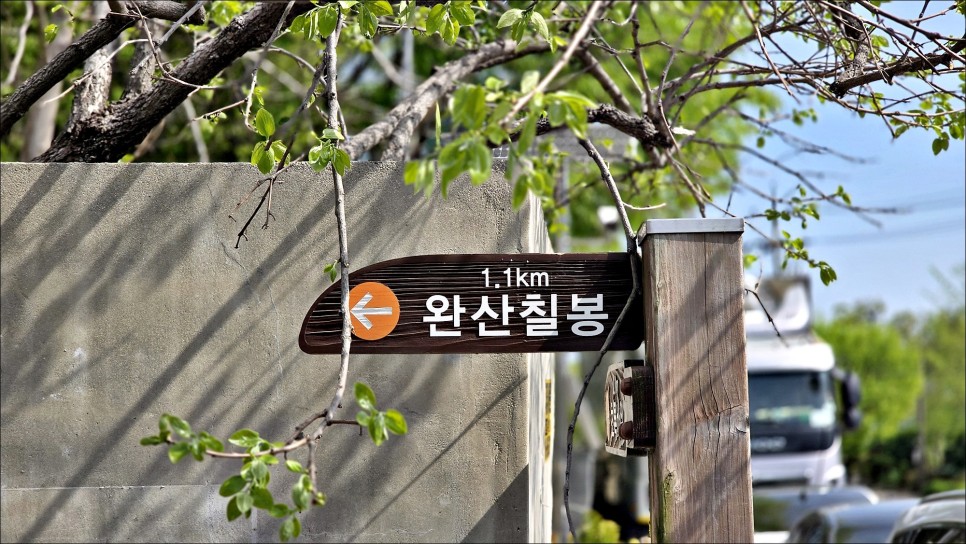 전주 벚꽃 명소 완산 칠봉 꽃동산 완산공원 겹벚꽃 전주 데이트코스 추천!