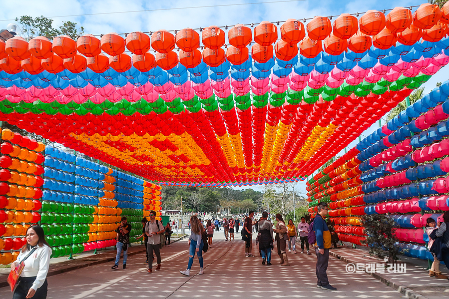 홍콩 자유여행 코스 란타우섬 옹핑케이블카 360 티켓 준비