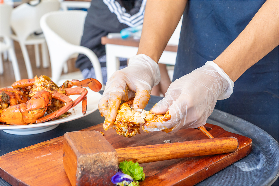 세부 여행, 야시장 다이빙 리조트 맛집 물놀이 종합 세트