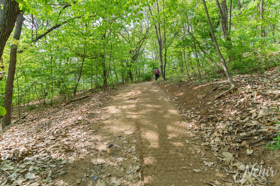 노원 불암산 나비정원 철쭉축제 불암산 철쭉동산 둘레길