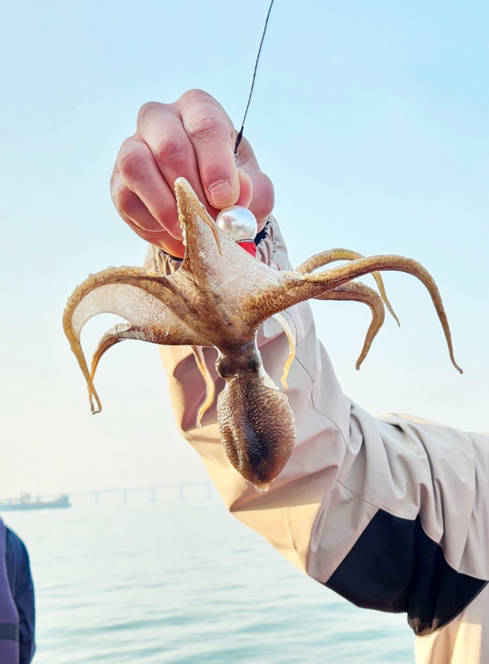 인천배낚시 체험 인천 바다낚시 쭈꾸미 가족 나들이