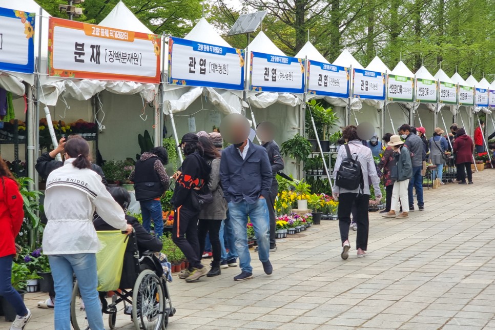 2024 고양시 꽃 박람회 입장료 할인 주차장 4월 꽃구경 가볼만한곳