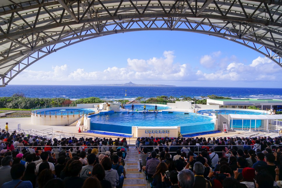 일본 오키나와 리조트 추천 오키나와 가족여행 숙소 3곳 수영장 호텔