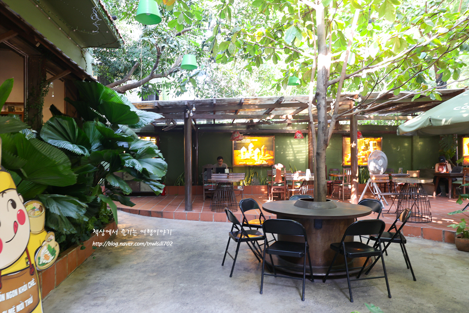 베트남 콩 카페 타오디엔 초록초록 이쁜 호치민 콩카페