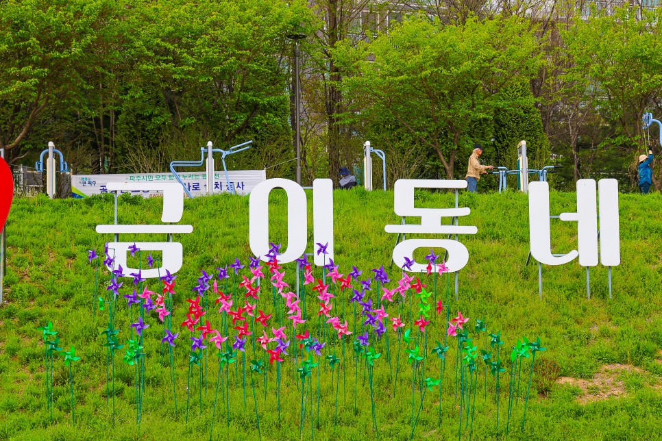 파주 가볼만한곳 파주 공릉천 튤립 만개 4월 19일 풍경