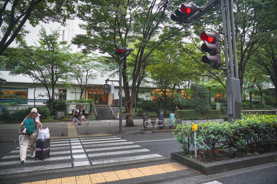일본 호텔 최저가 예약 도쿄 게이오 플라자 신주쿠 호텔 조식 후기