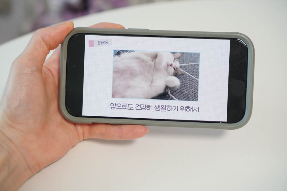 아이폰 화면 고정 단축어 자동화로 가로 세로 모드 앱별 적용하기
