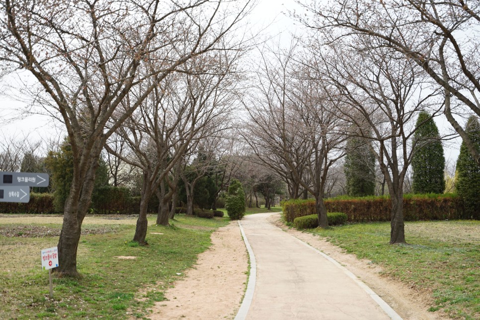 인천 봄나들이 장소 드림파크 야생화단지 주말에 다녀오기 좋은곳