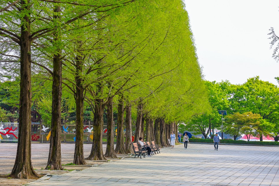 서울근교 갈만한곳 고양꽃박람회 일산호수공원 튤립 풍경