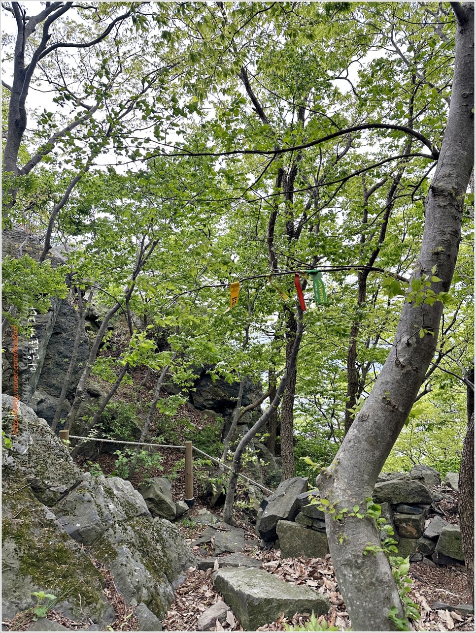 보령 양각산 등산코스 : 통나무집 원점회귀
