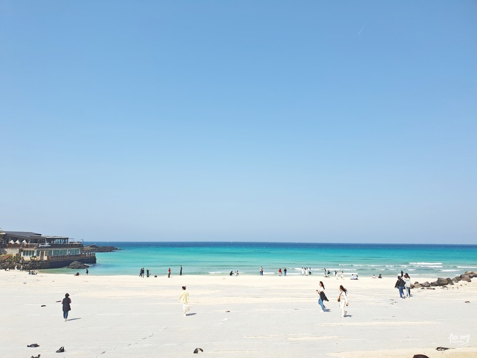 제주도 가족여행 제주 함덕 가볼만한곳 함덕 서우봉 해변 둘레길 유채꽃