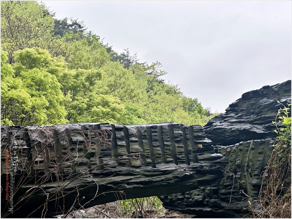 보령 양각산 등산코스 : 통나무집 원점회귀