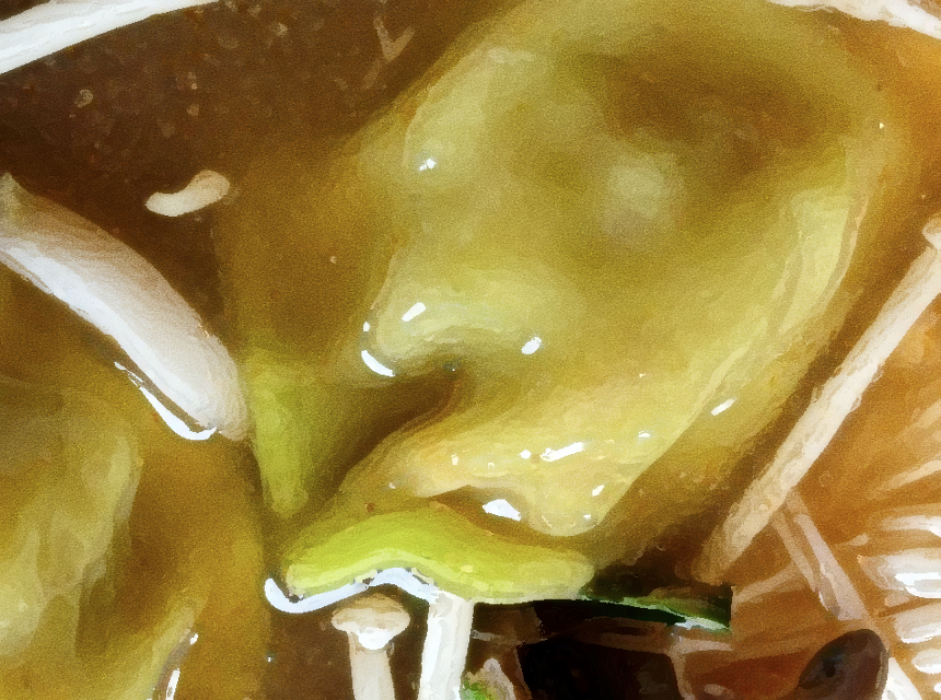 생방송투데이 손만두전골 식당 위치 꽉 채운 고소함 리얼맛집
